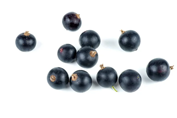 Black Currants Isolated White Background Shallow Dof Focus Point Lower — Stock Photo, Image