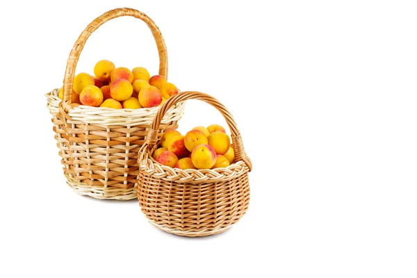 Fresh Apricots Wicker Baskets Isolated White Background — Stock Photo, Image