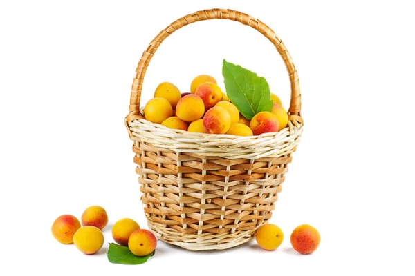 Fresh Apricots Wicker Basket Isolated White Background — Stock Photo, Image