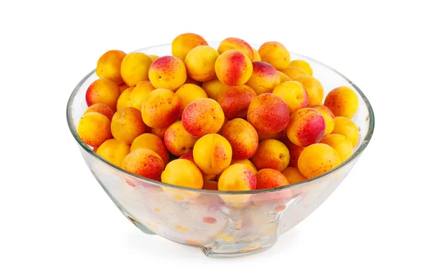 Fresh Apricots Glass Bowl Isolated White Background — Stock Photo, Image