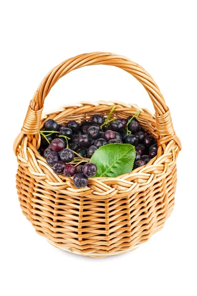 Wicker Basket Chokeberries Isolated White Background — Stock Photo, Image