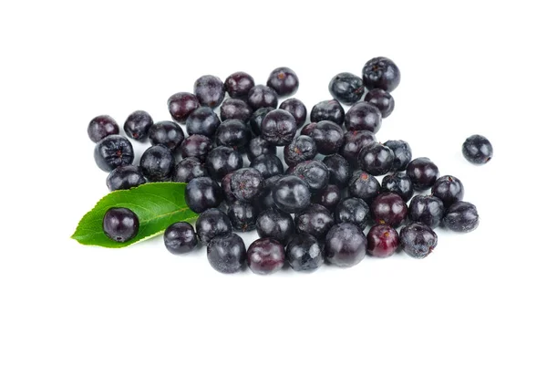 Stapel Chokeberries Geïsoleerd Witte Achtergrond — Stockfoto