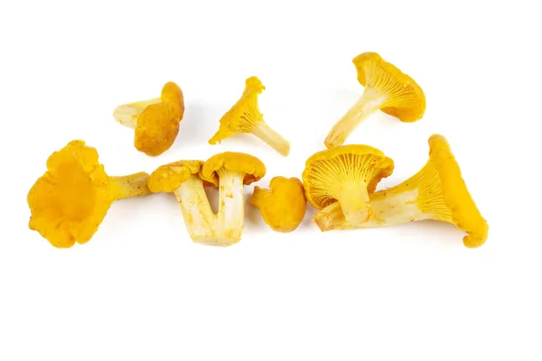 Funghi Finferli Freschi Isolati Sfondo Bianco — Foto Stock