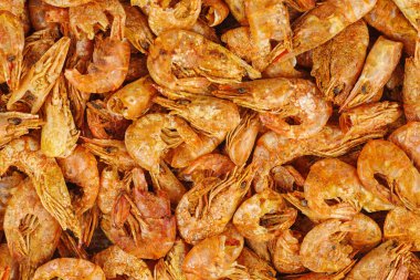 Gri tüyler arka planda.