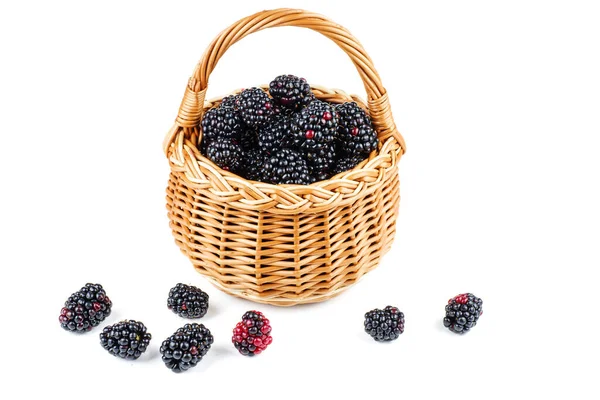 Blackberries Wicker Basket Isolated White Background — Stock Photo, Image