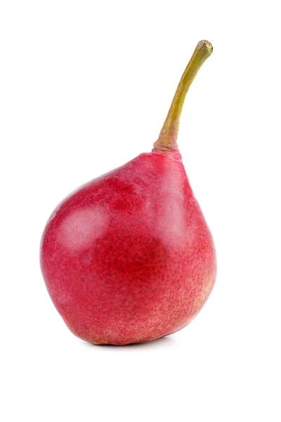 Single Red Pear Isolated White Background — Zdjęcie stockowe