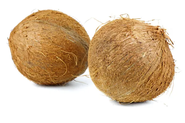Twee Kokosnoten Geïsoleerd Witte Achtergrond — Stockfoto