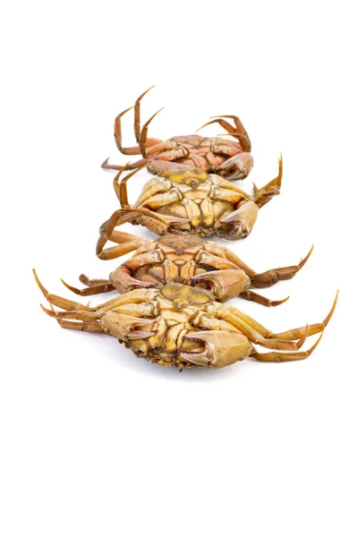 Fresh Crabs Close White Background — 图库照片