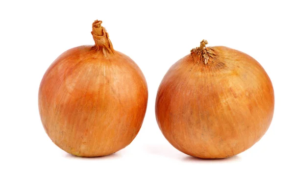 Two Raw Onions Isolated White Background — Stockfoto
