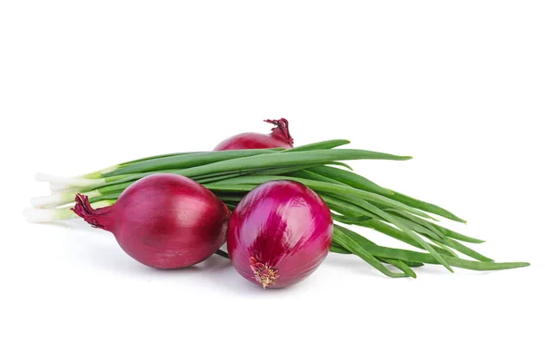 Paarse Groene Lente Uienspruiten — Stockfoto