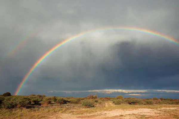 Rainbow landscape — Stock Photo, Image