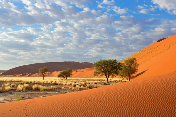 Sossusvlei paisaje — Foto de Stock