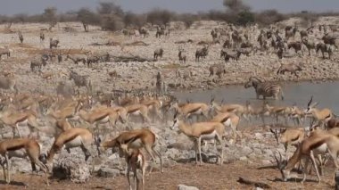 etkin su birikintisinin