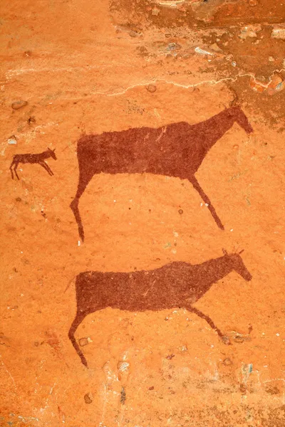 Bushmen rock painting — Stock Photo, Image