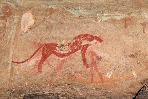 Bushmen rock painting — Stock Photo, Image