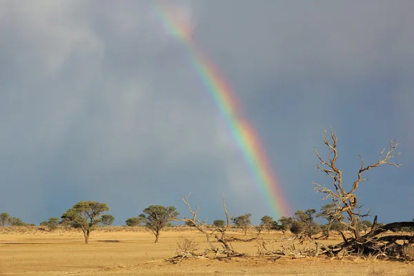 Rainbow landskap — Stockfoto