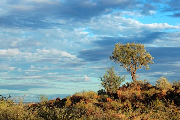 Afrikanische Landschaft — Stockfoto