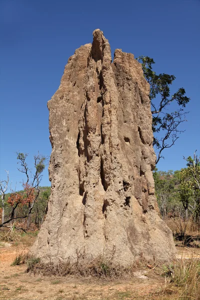 Cattedrale termitaio — Foto Stock