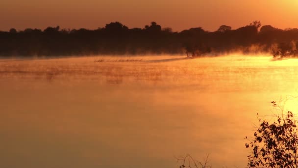 Nebbia sopra acqua — Video Stock