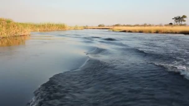 Boot op de kwando rivier — Stockvideo