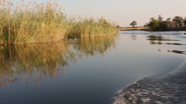 Kwando Nehri üzerinde tekne