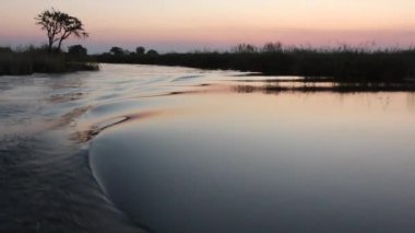 Kwando Nehri üzerinde tekne