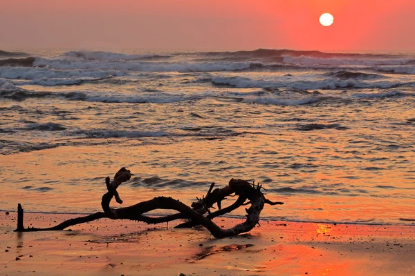 日の出の海 — ストック写真