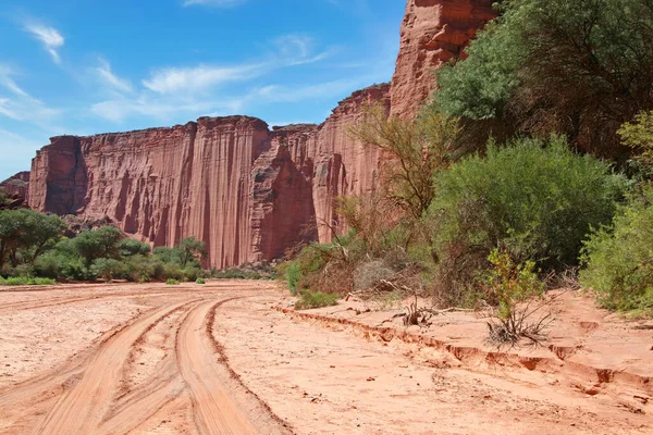 Riverbed Seco Penhascos Arenito Íngremes Parque Nacional Talampaya Rioja Argentina — Fotografia de Stock