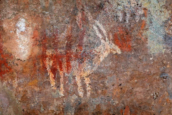 Peinture Rupestre Bushmen San Une Antilope Cap Nord Afrique Sud — Photo