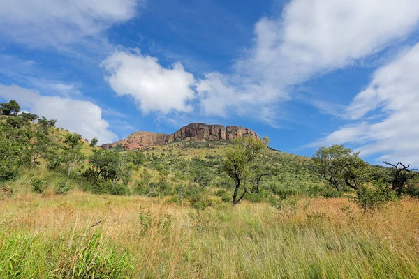 Scenic Mountain Savannah Landscape Marakele National Park South Africa — Stok fotoğraf