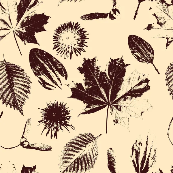 Modèle floral sans couture — Image vectorielle