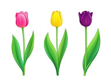 Tulips - eps10 vector illustration clipart