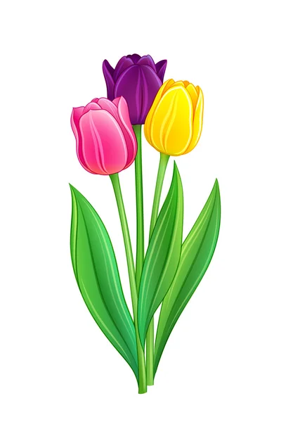 Boeket tulpen — Stockvector