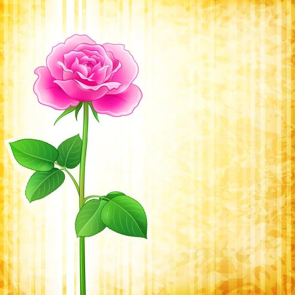 Цветочный фон - роза — стоковый вектор