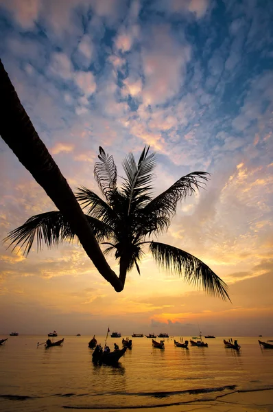 Zonsondergang met palmbomen en boten op tropisch strand — Stockfoto