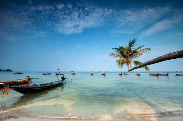 Palm and boats on tropical beach, Thailand Stock Photo