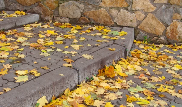 Foglie autunnali su scale di cemento — Foto Stock