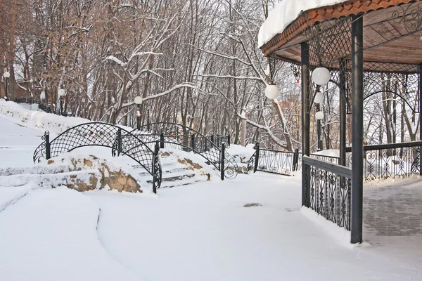 Ponte forjada na floresta de inverno — Fotografia de Stock