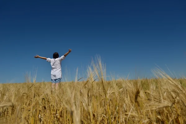 夏の麦畑の若い女 — ストック写真