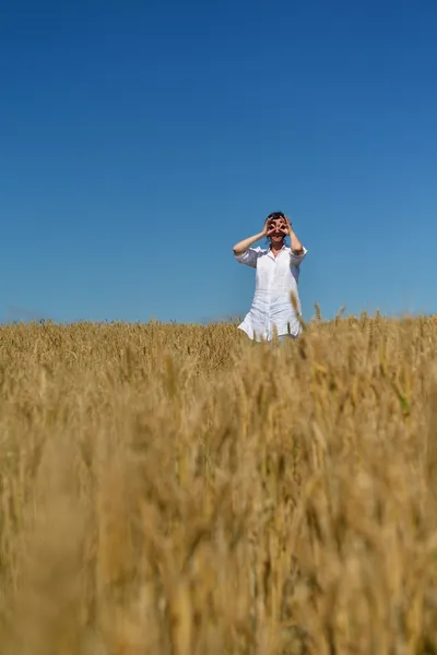 Mujer joven en el campo de trigo en verano — Foto de Stock