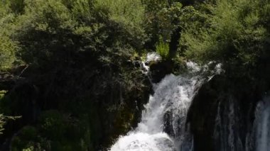 şelale ile taze temiz su yeşil doğada