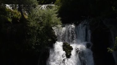 şelale ile taze temiz su yeşil doğada