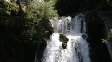 şelale ile taze temiz su yeşil doğada