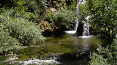 şelale ile taze temiz su yeşil doğada