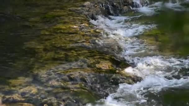 Água doce limpa na natureza — Vídeo de Stock