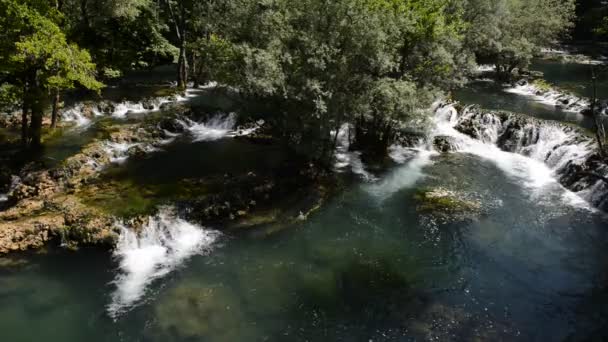野生绿色大自然中的瀑布 — 图库视频影像