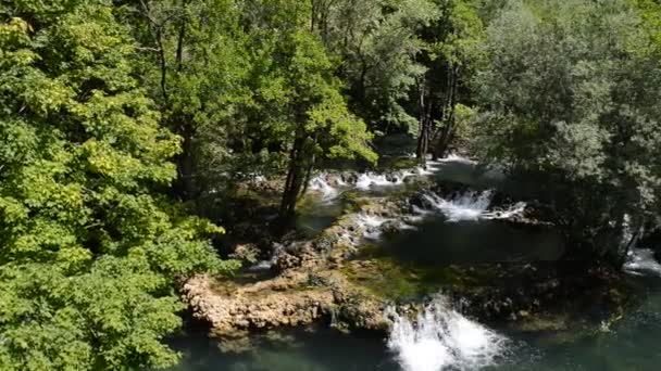 Waterfall in wild green nature — Stock Video