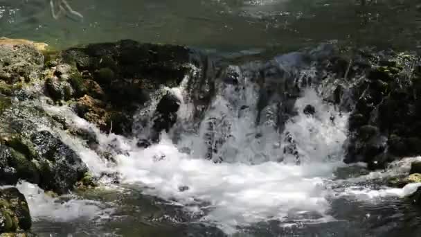 Tiszta, friss víz a természetben — Stock videók