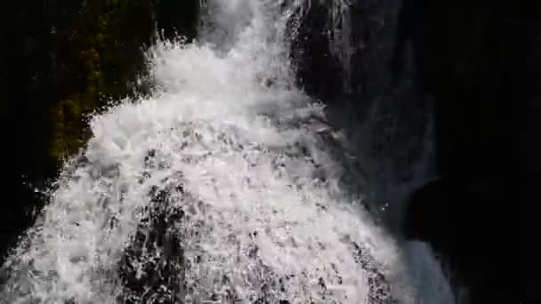 Cascada con agua dulce y limpia en la naturaleza verde — Vídeos de Stock