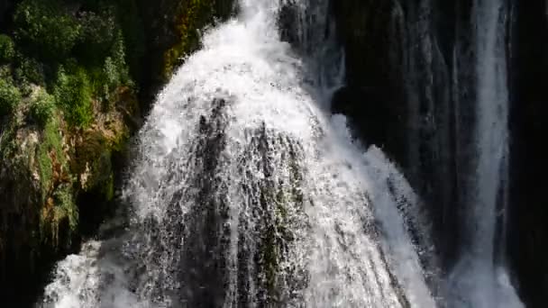 Waterfall with fresh clean water in green nature — Stock Video